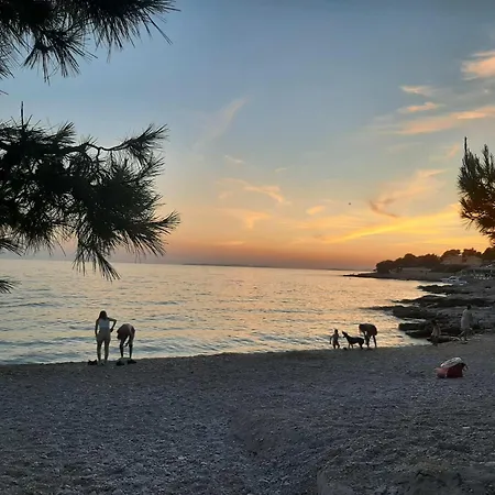 Mare *